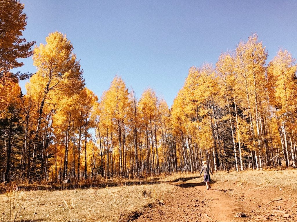 Fall in Arizona